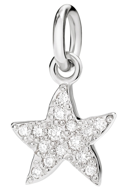 CHARMS DODO Star Clear