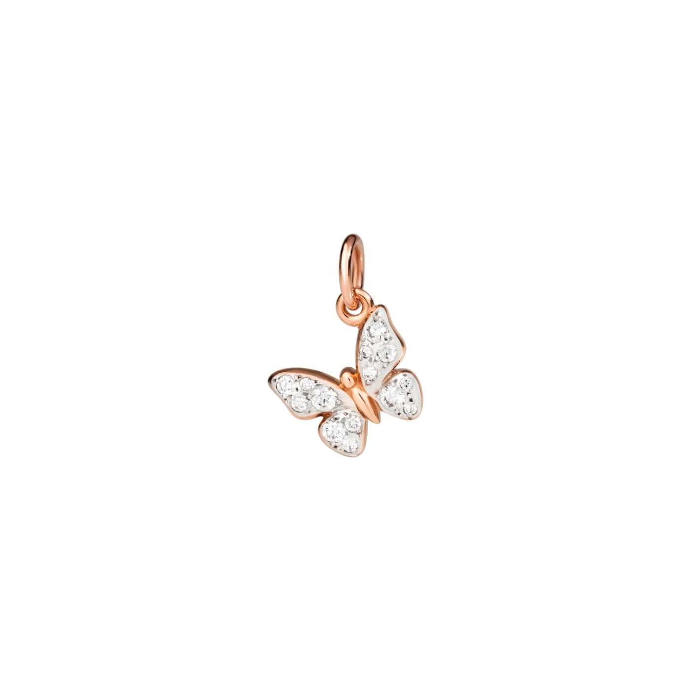 CHARMS DODO Butterfly Clear